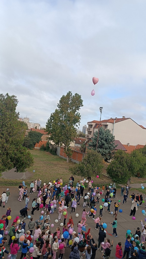 558047223 1284937746980721 989473195050924387 n